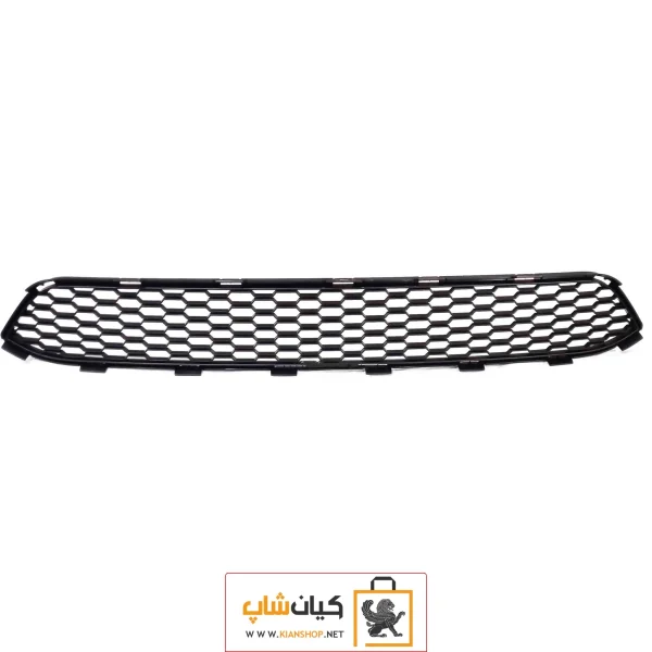 توری شاهین