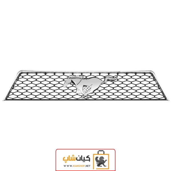 جلو پنجره دنا