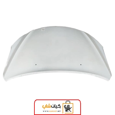 درب موتور شاهین